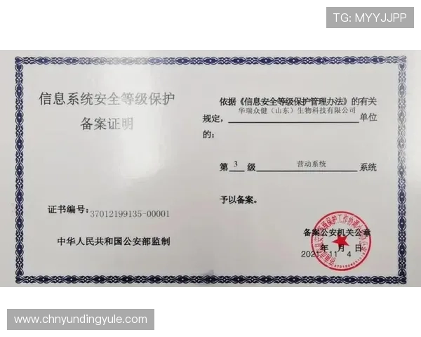 新云顶网页的安全保障措施确保玩家信息安全与账号稳定运行